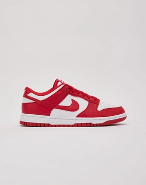 Foam Lining Running Errands Nike Dunk Low Next Nature