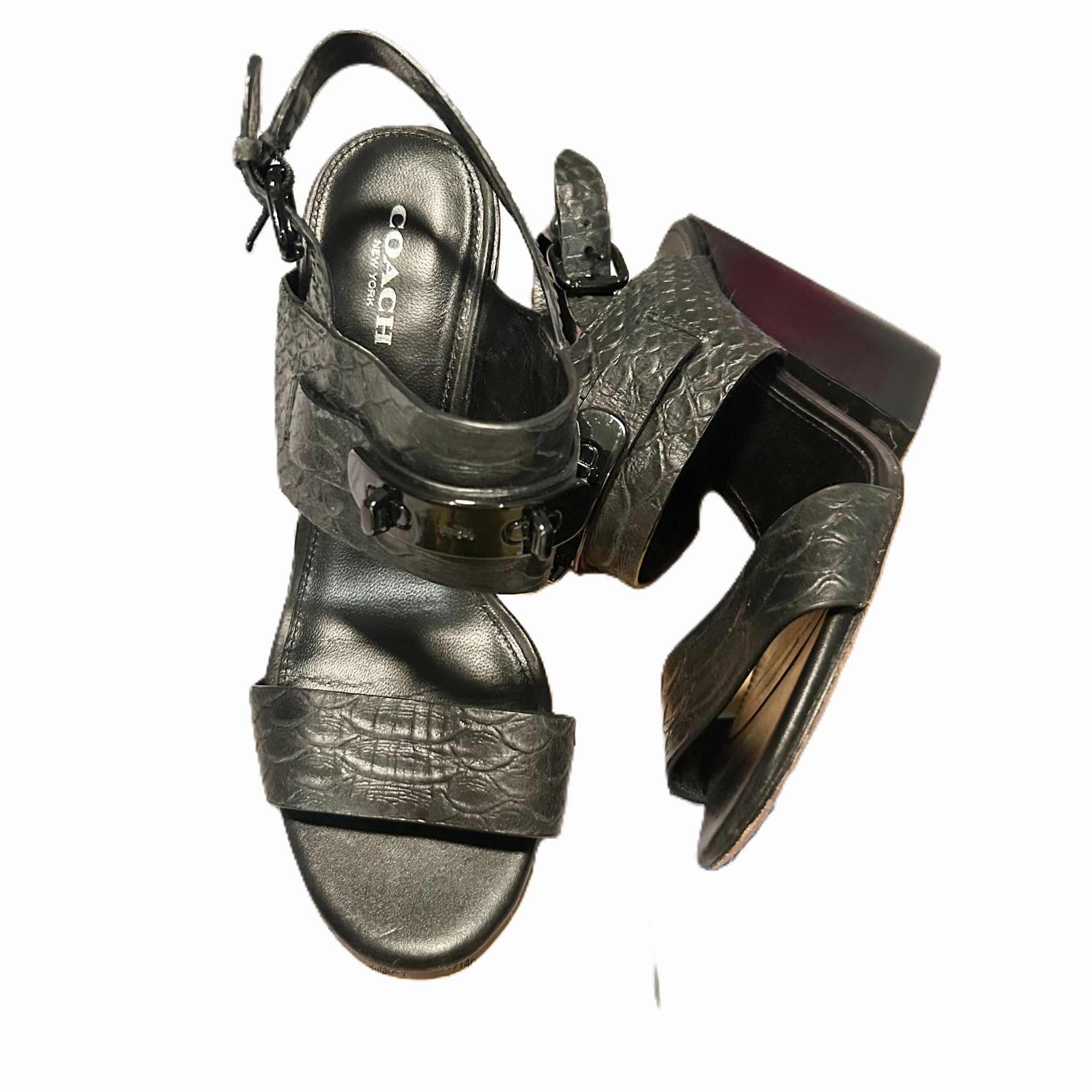 Black Sandals Designer By Coach, Size: 6.5 Flexible Rocker Sole Shock Guard