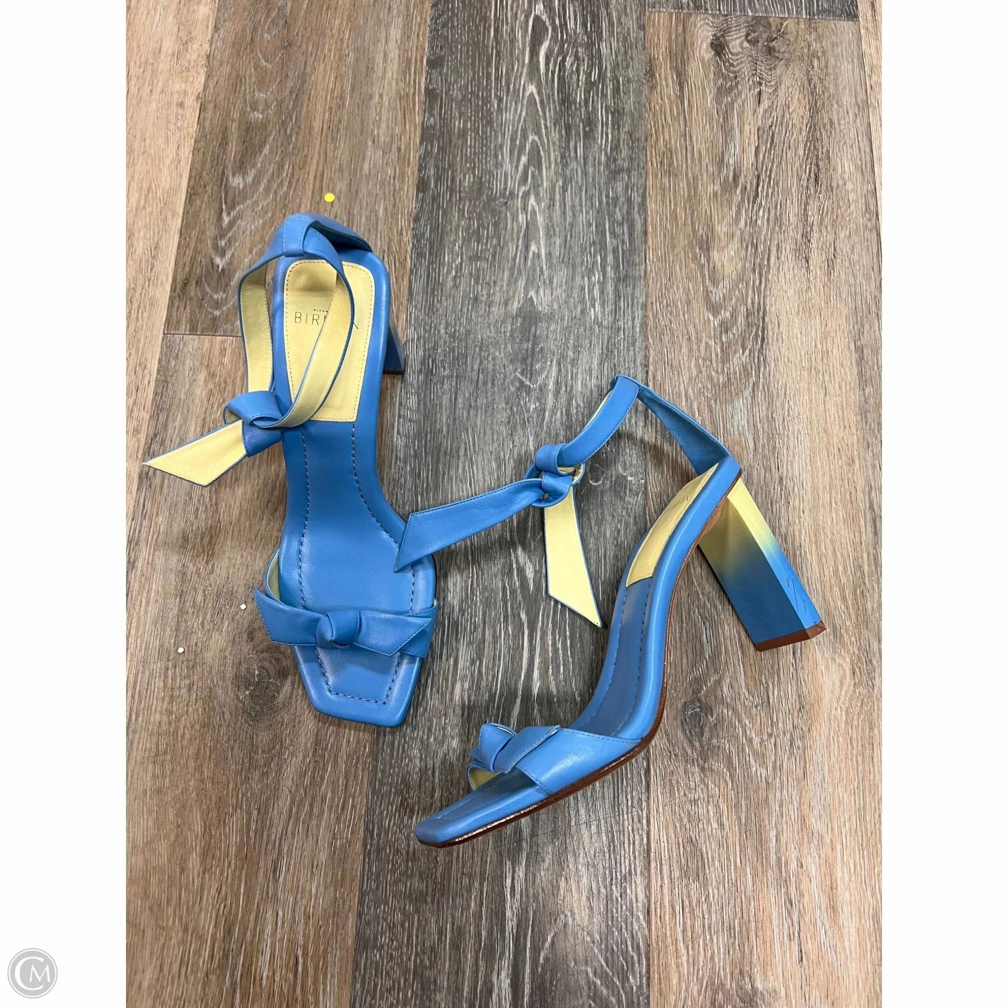 Autumn Tone Sandals Designer By Alexandre Birman In Blue, Size: 10