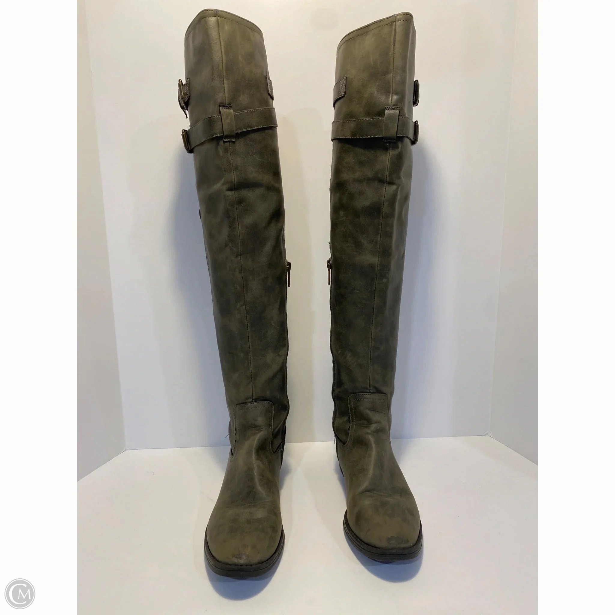 Farmer Thermal Regulating Layer Boots Knee Flats By Libby Edelman In Green, Size: 9