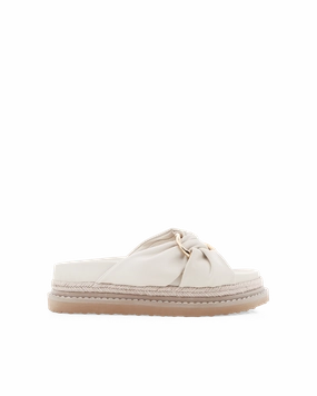 AMBROSE - IVORY Daily Wear