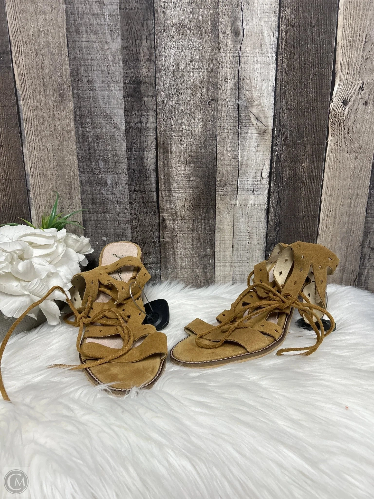 Sandals Designer By Coach In Brown, Size: 11 Zip Fast