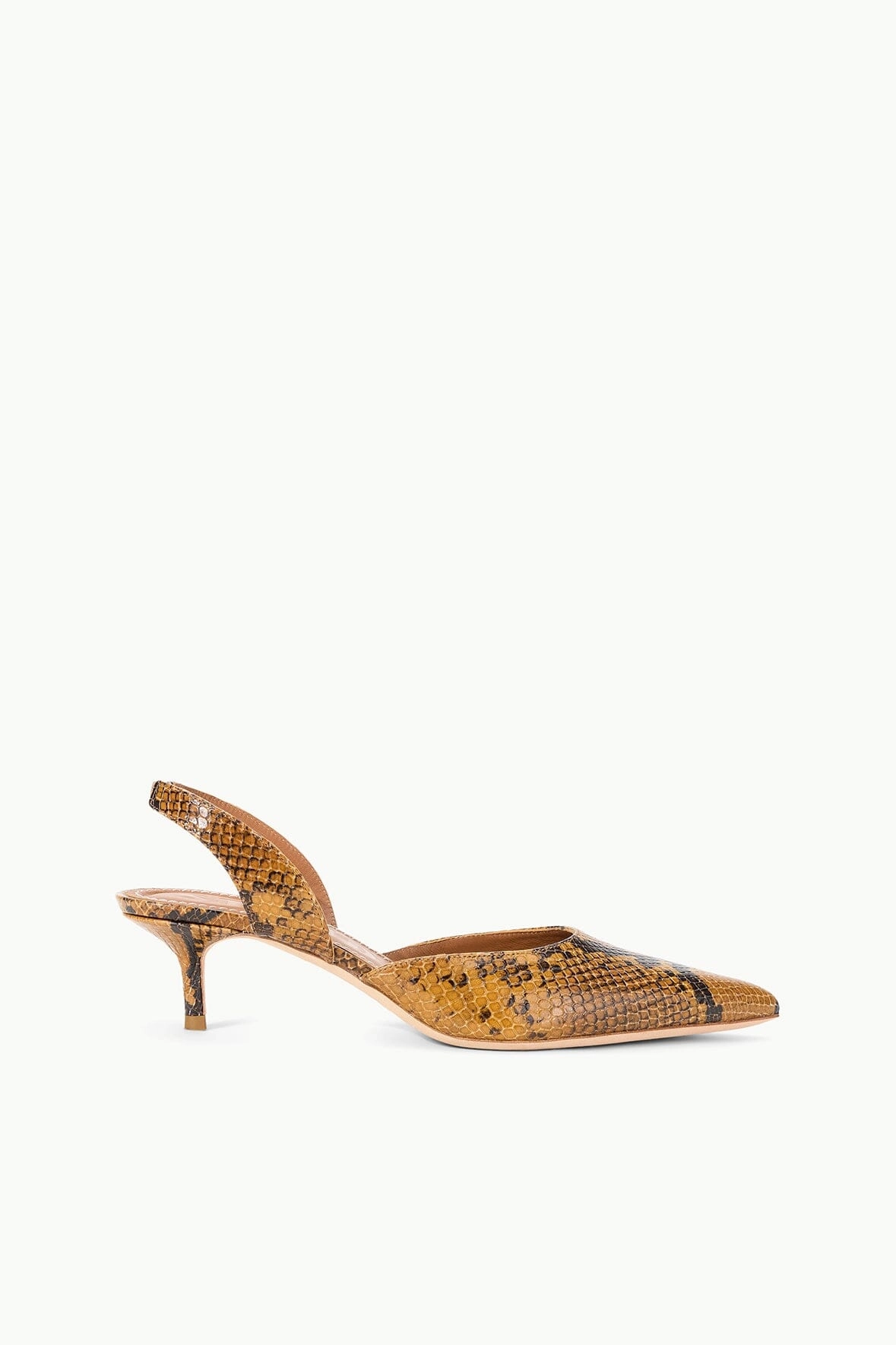 Park Step SEBASTIAN SLINGBACK | SNAKE