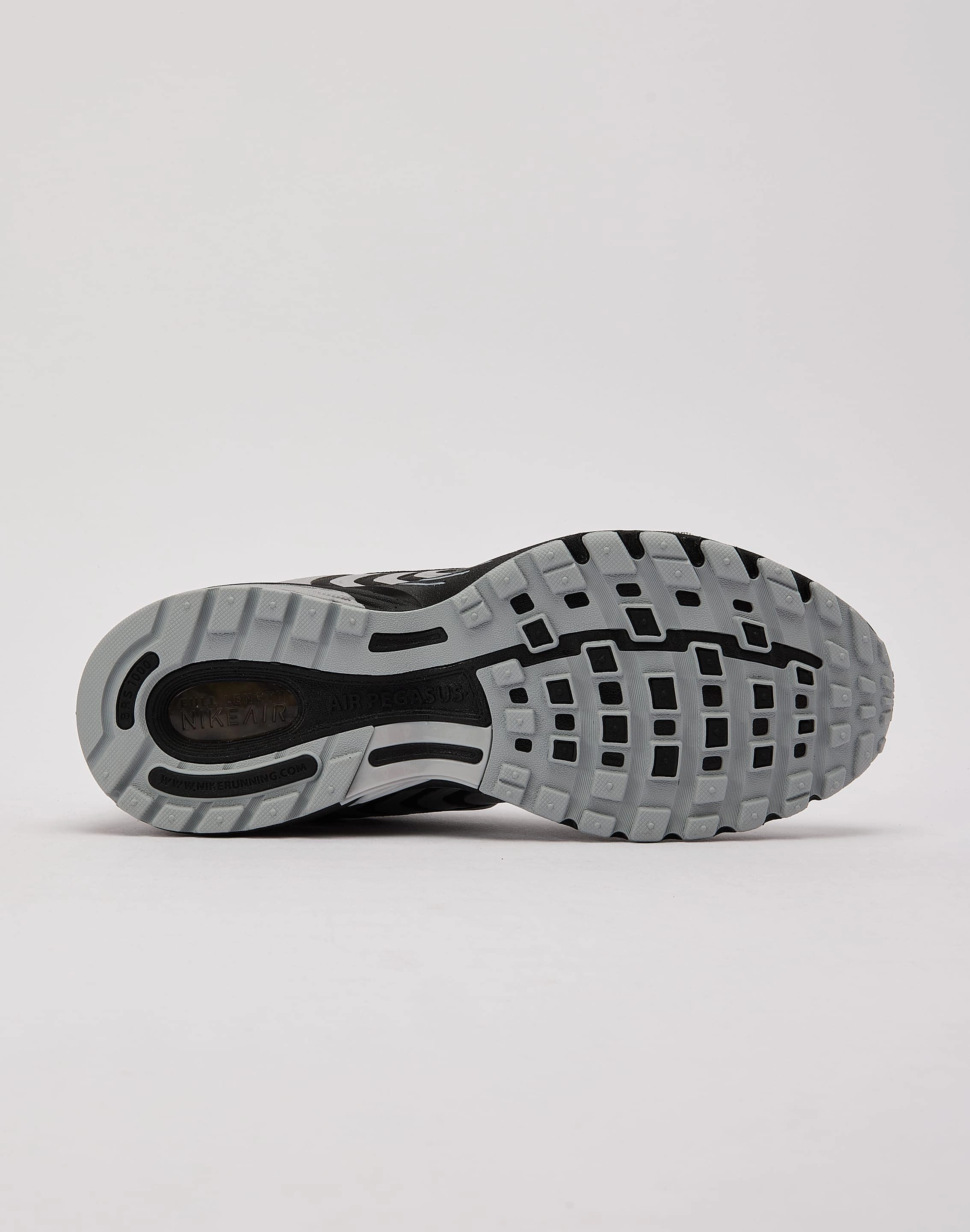 Secure Design Nike Air Pegasus 2005