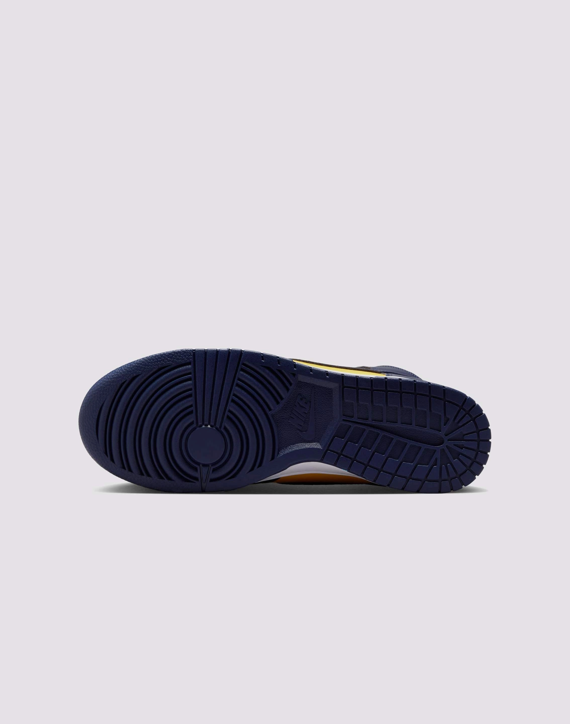 Comfort Stand Rain Safe Nike Dunk High Retro SE ??Michigan??