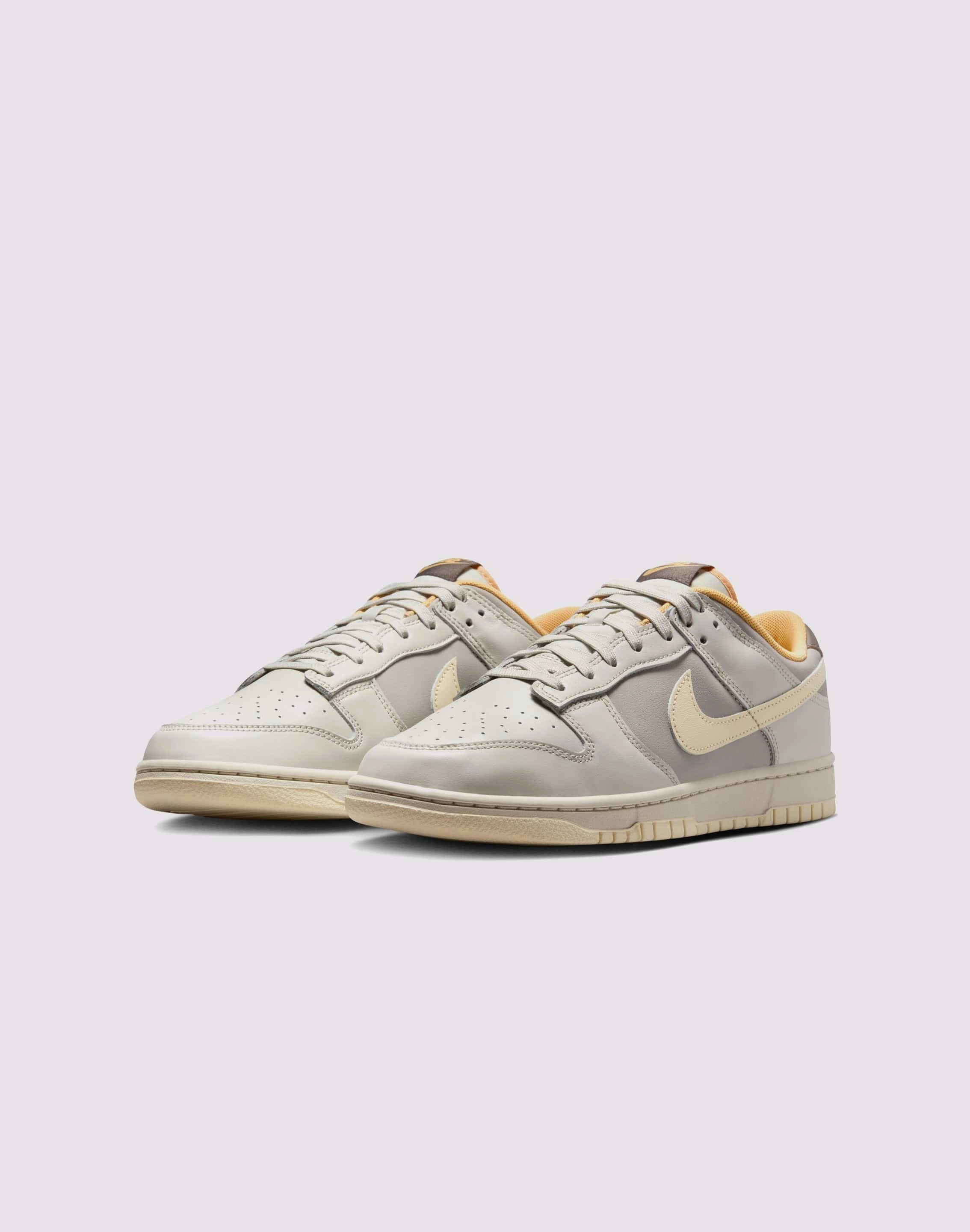 Nike Dunk Low Retro Trail Strong zipper