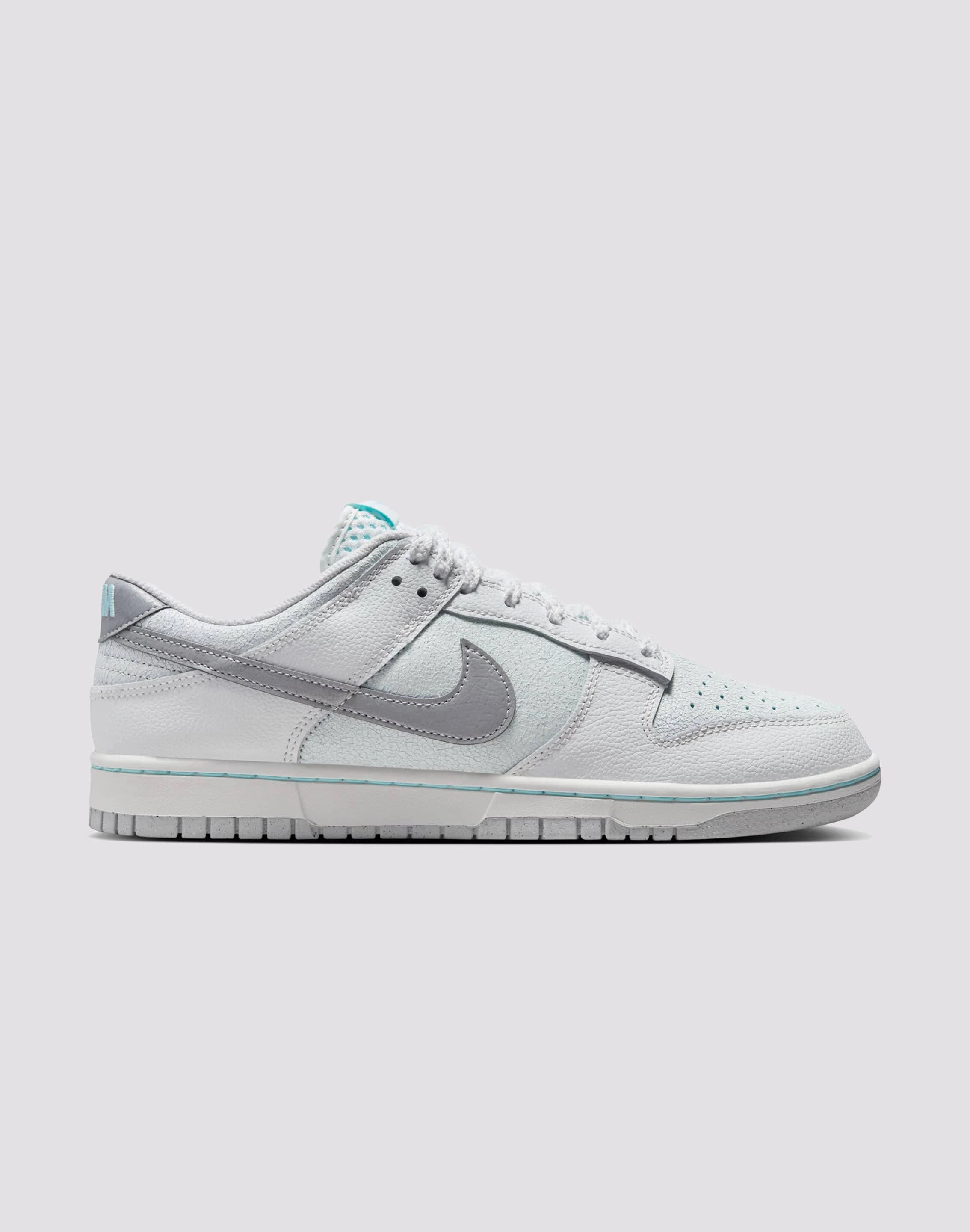 Nike Dunk Low Retro Sweat Resistant Urban Stroll Sweat Resistant Indoor Fitness