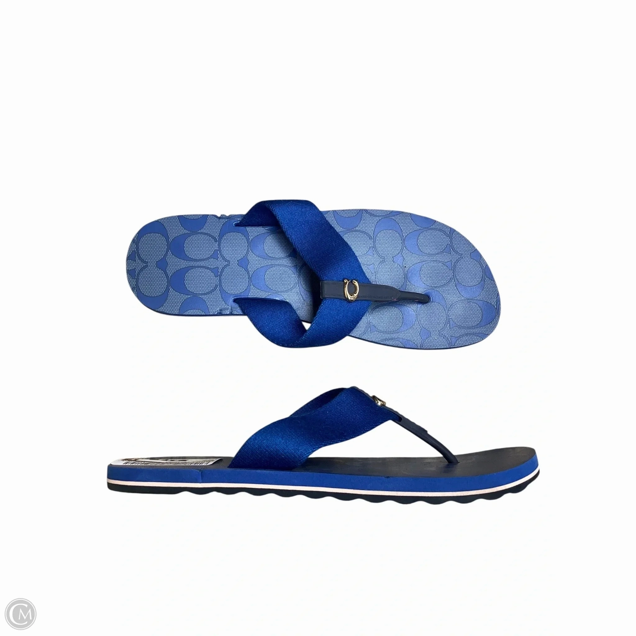 Sandals Designer By Coach In Blue, Size: 7 Sky View