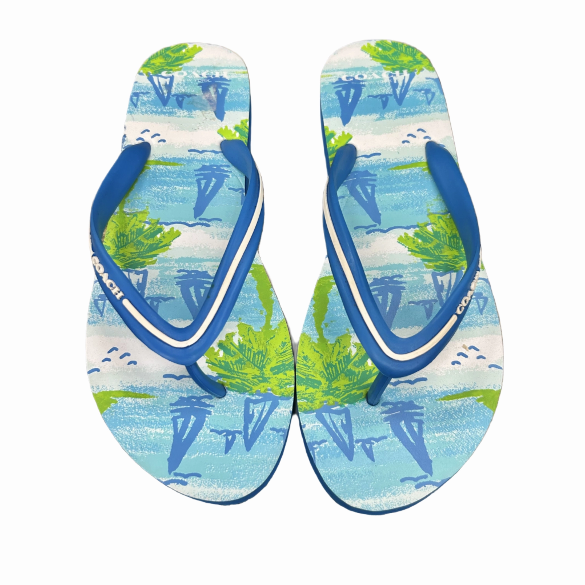 Blue & Green Sandals Designer By Coach, Size: 9 Memory Foam Insert