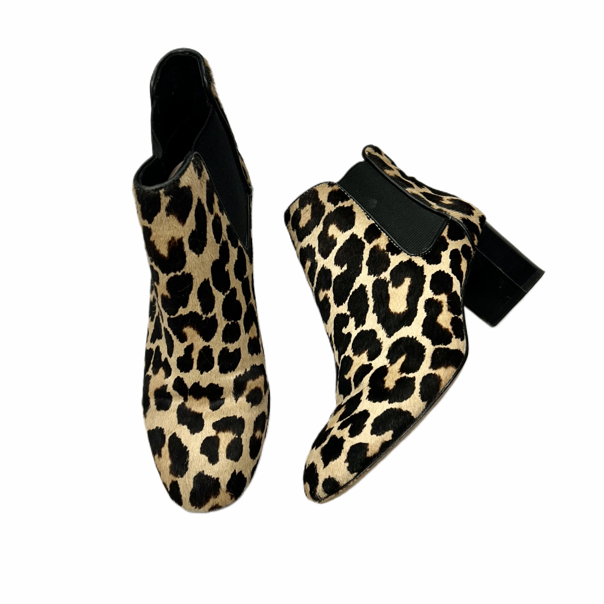 Ankle Collar Padding Boots Designer By Kate Spade In Leopard Print, Size: 6.5