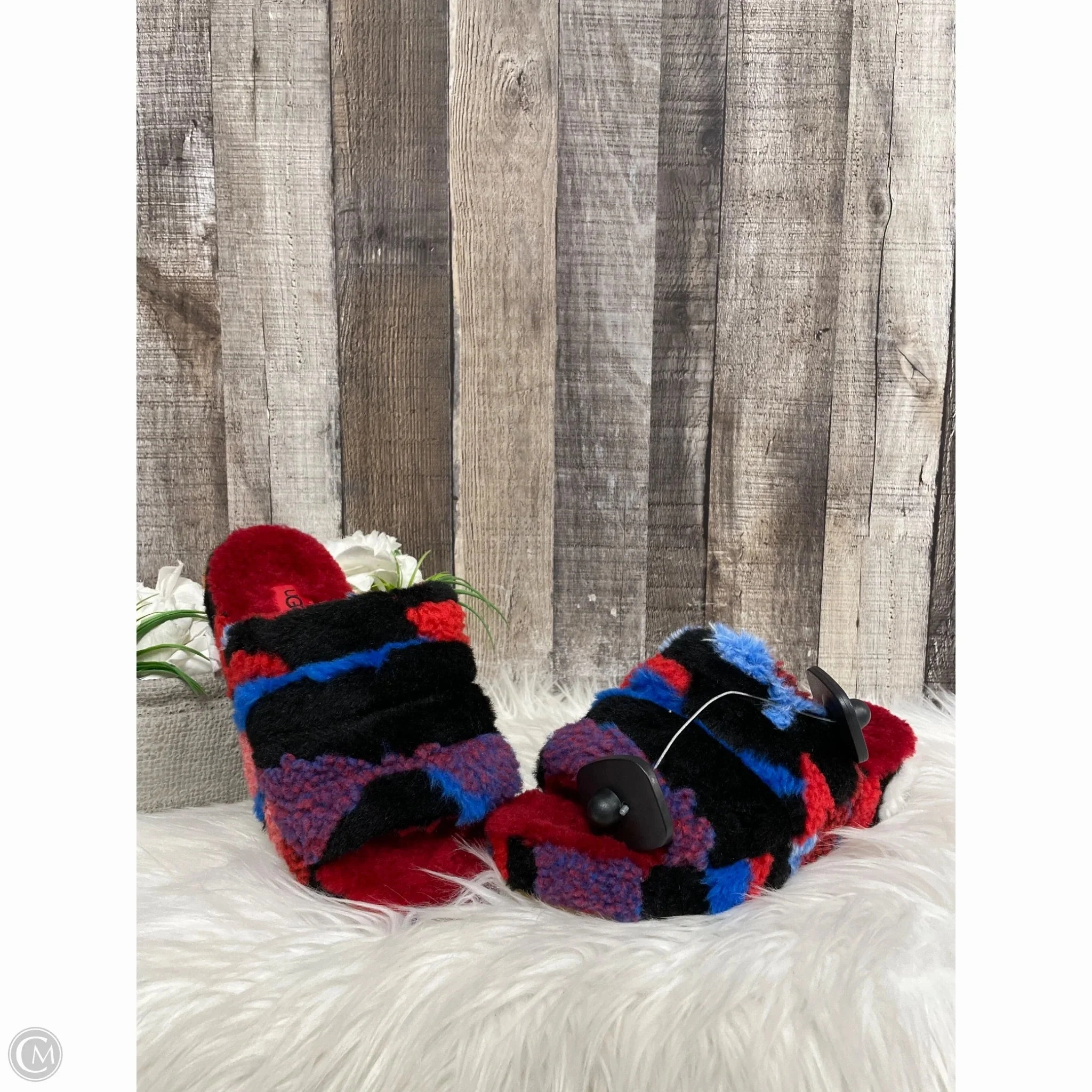 Elastic laces Camera Look Shoes Designer By Ugg In Multi-colored, Size: 7