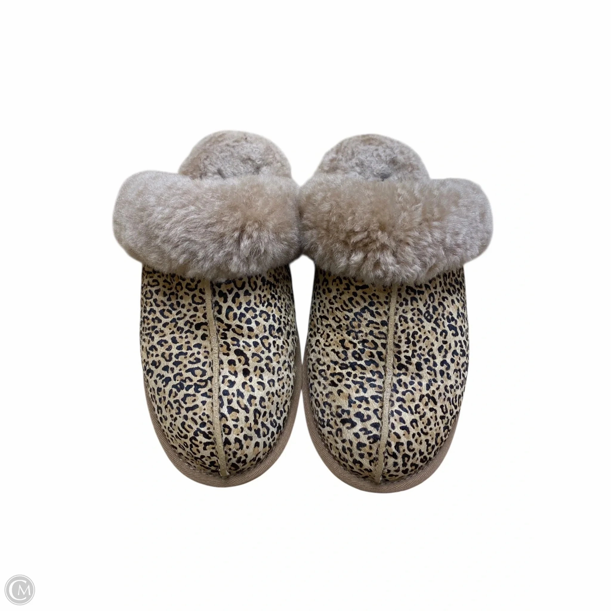 Slippers Designer By Ugg In Animal Print, Size: 6.5 Flexible Outsole