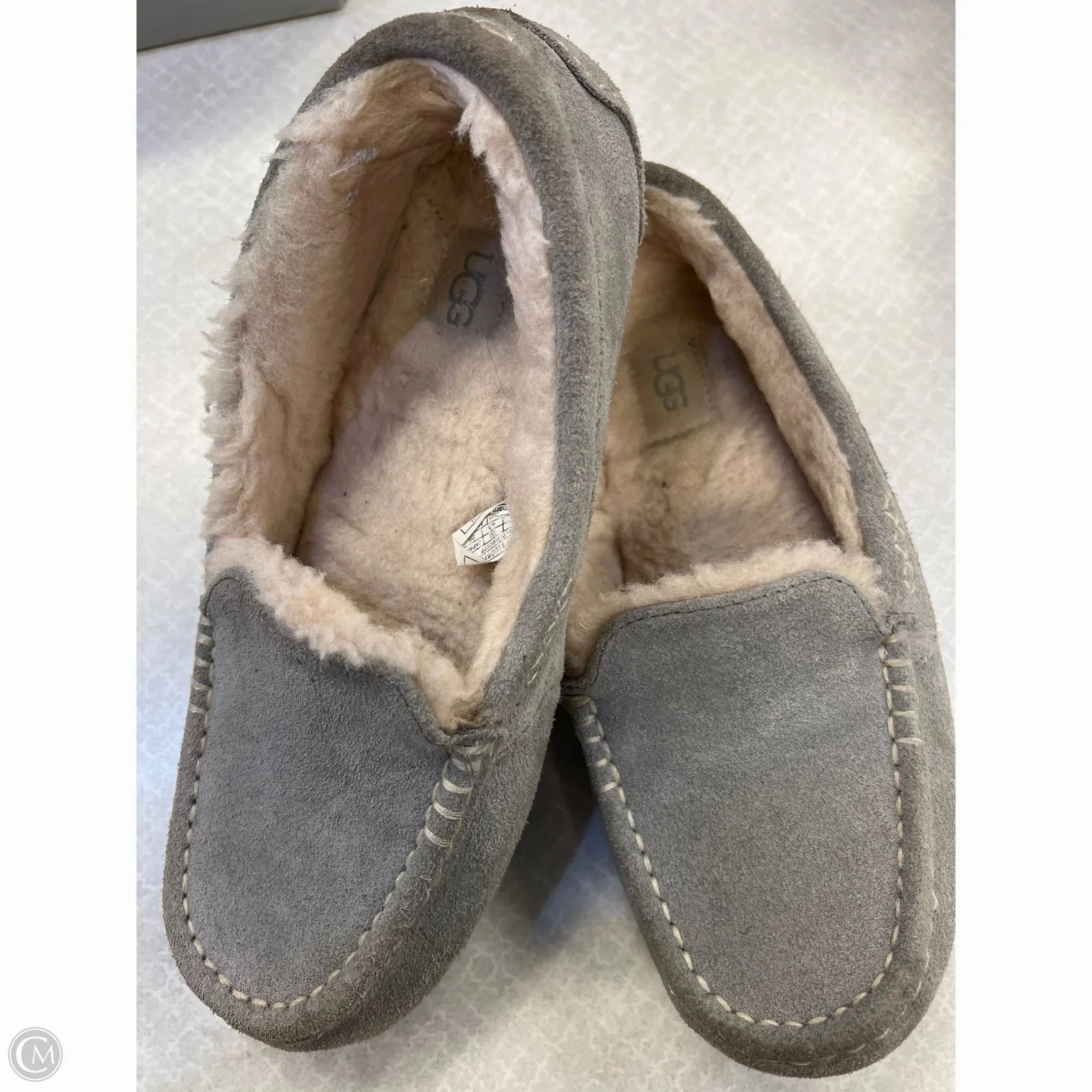 Gym Life Slippers Designer By Ugg In Grey