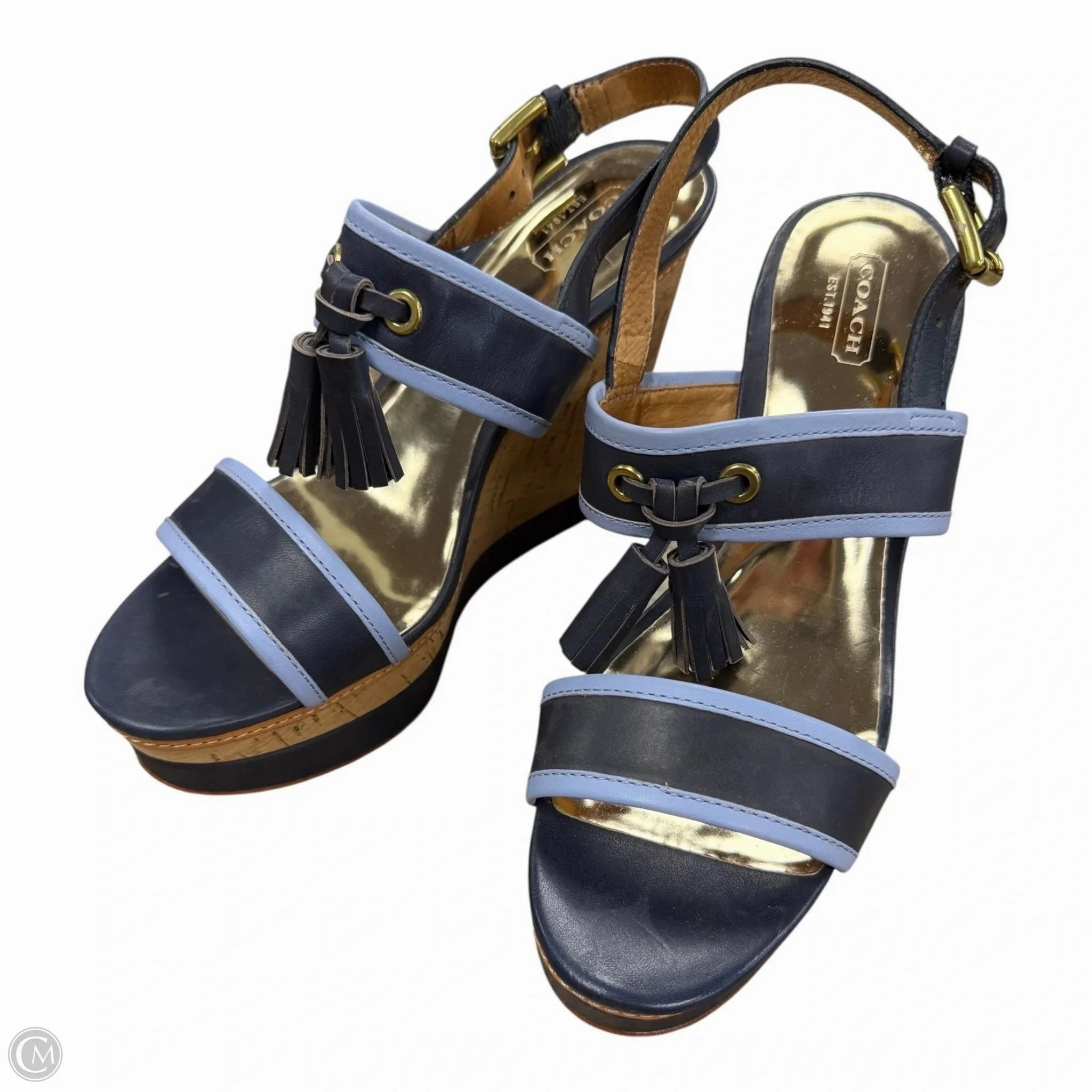 Sandals Designer By Coach In Blue, Size: 9 Sole Soft