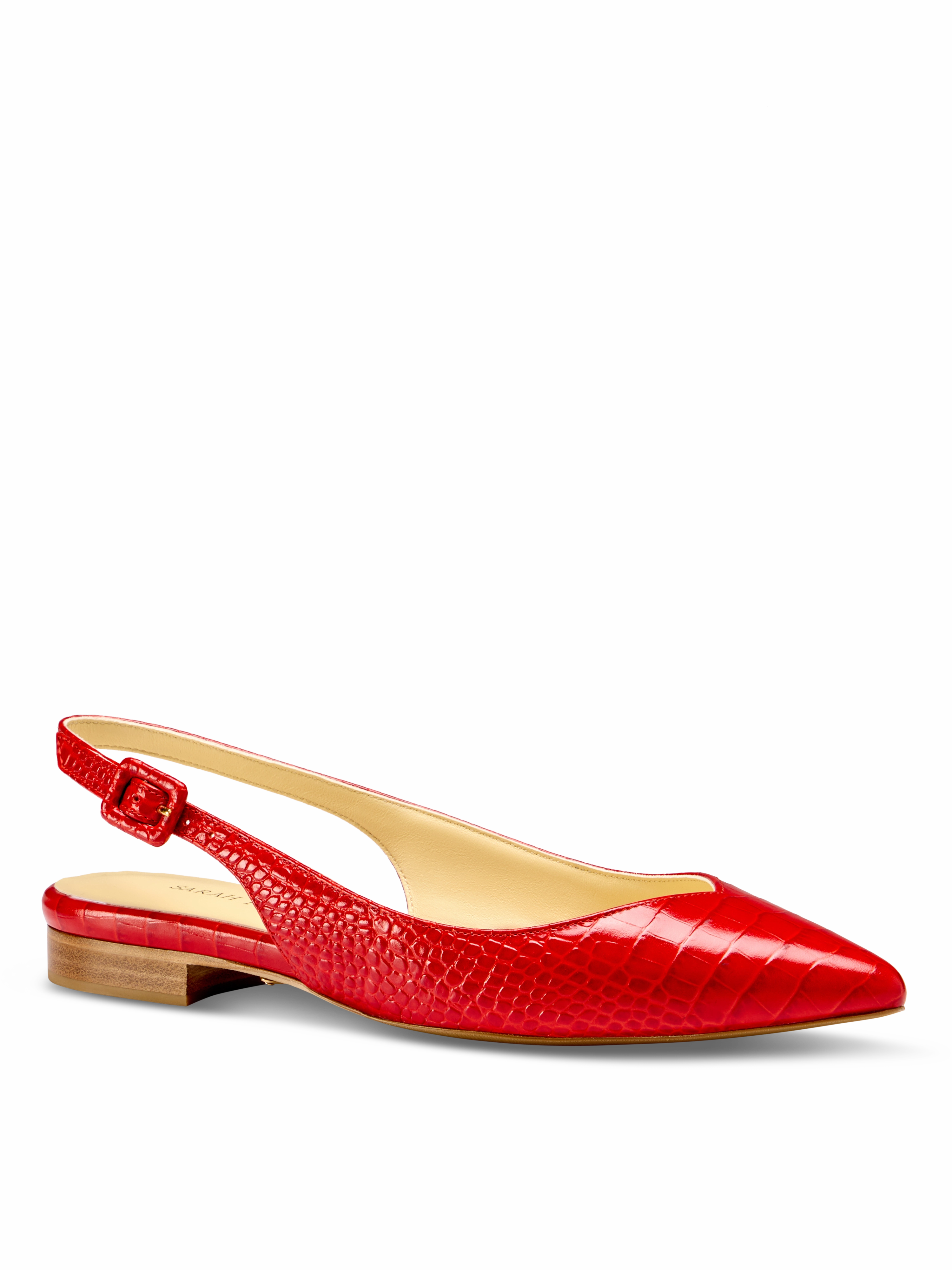 Hike Path Functional Stella