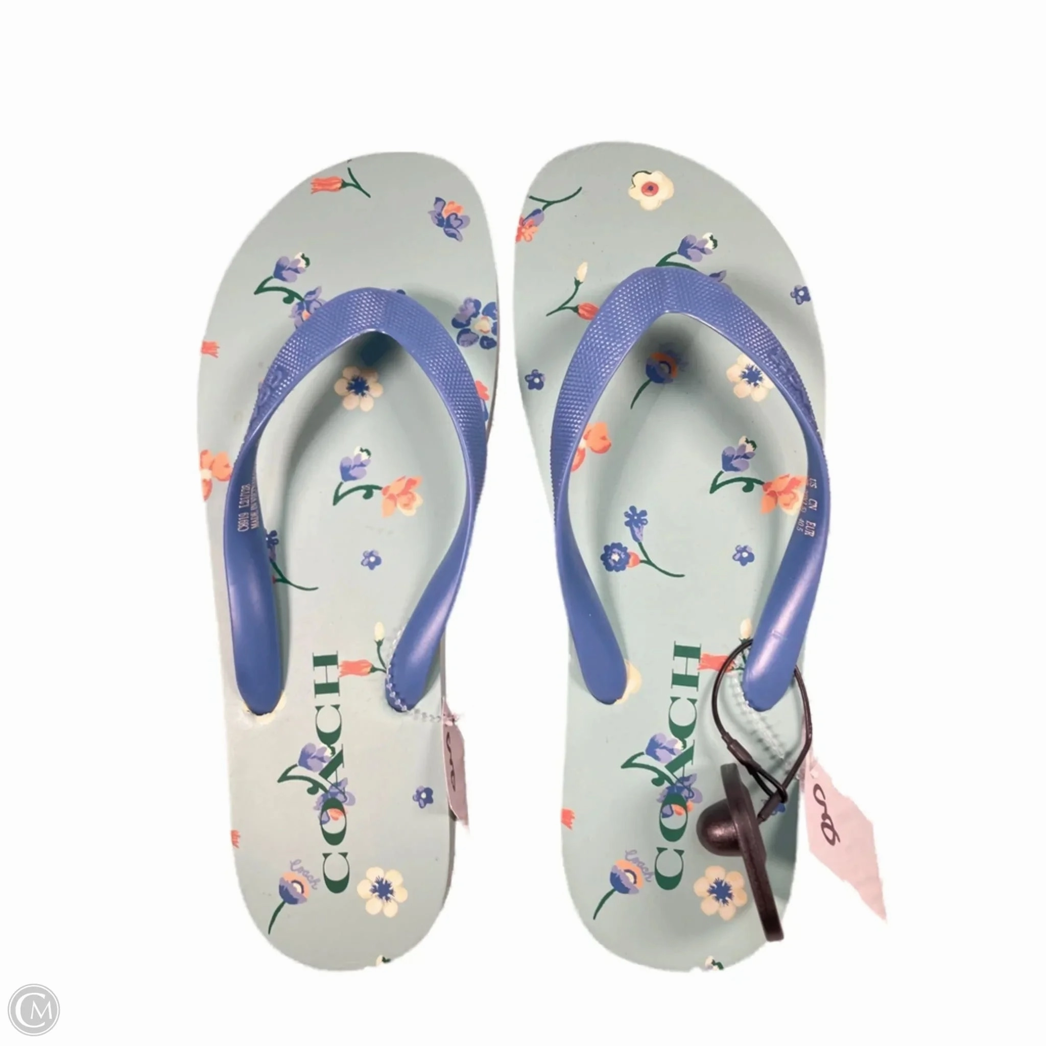 Sandals Designer By Coach In Blue & Green, Size: 10 Field Power