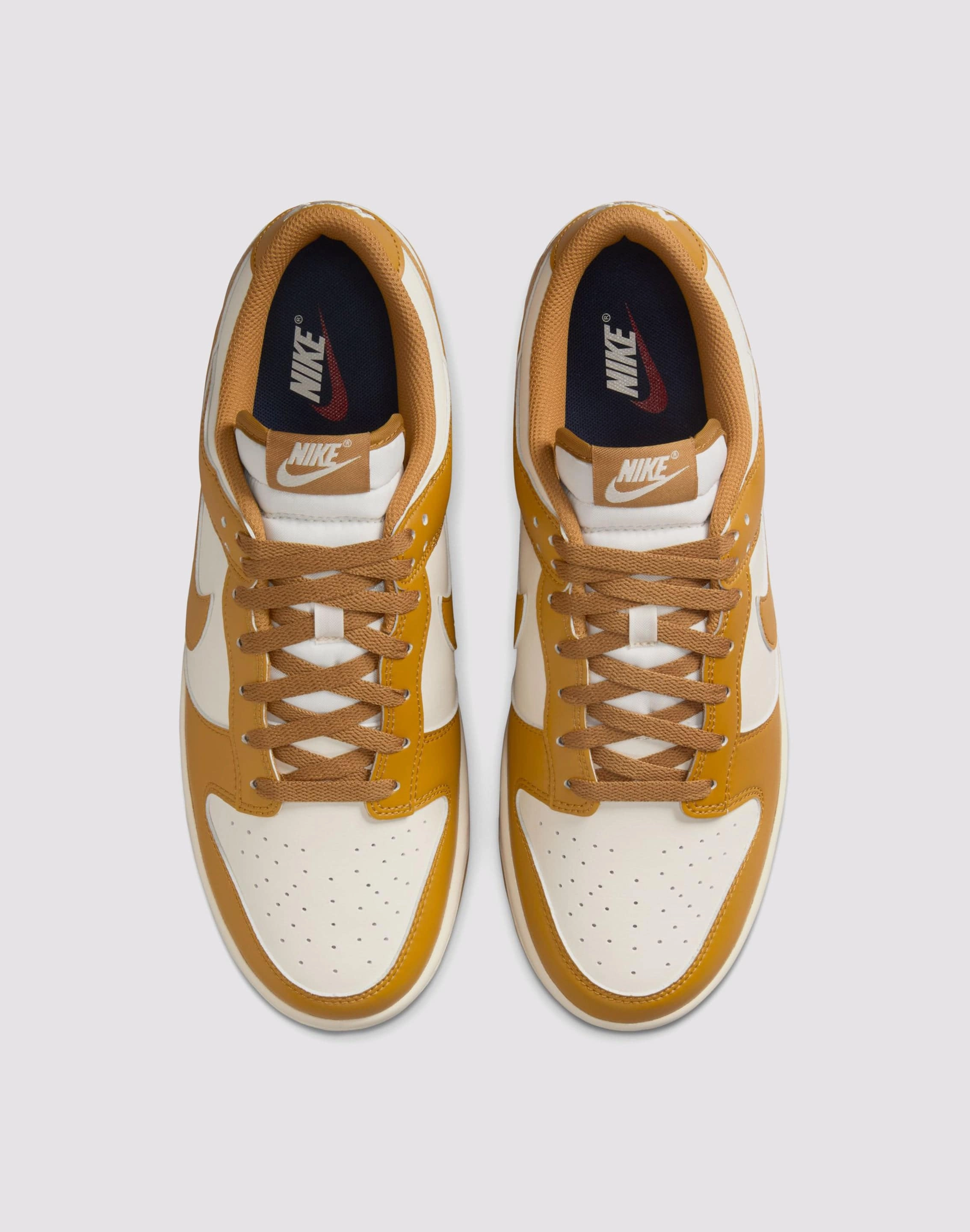 Recycled Rubber Composite Nike Dunk Low Retro