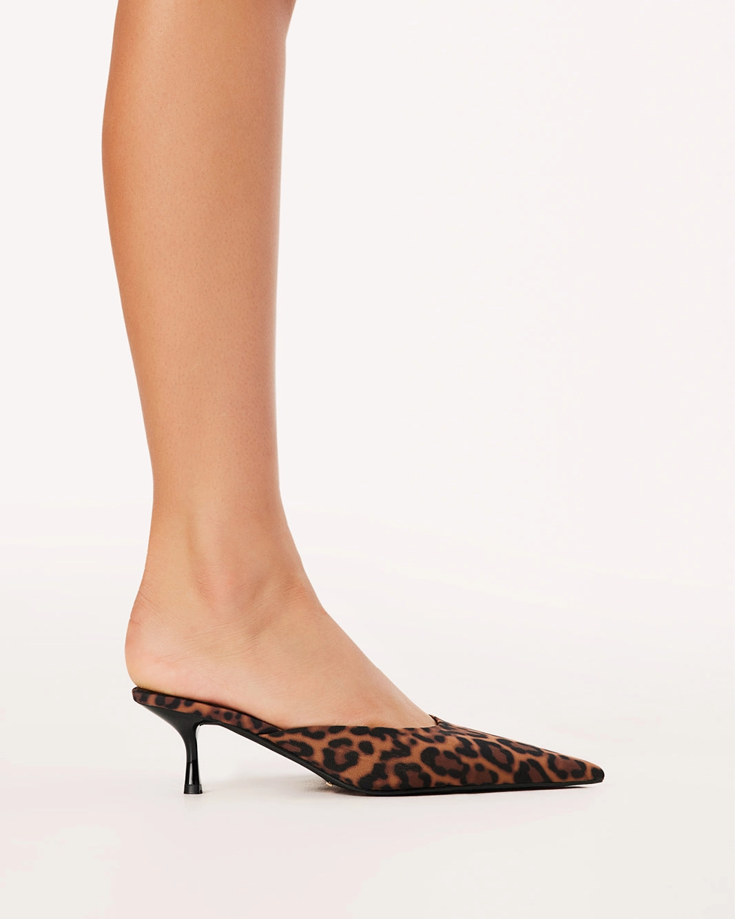 WYNONNA - LEOPARD Light Spark Refined Detail