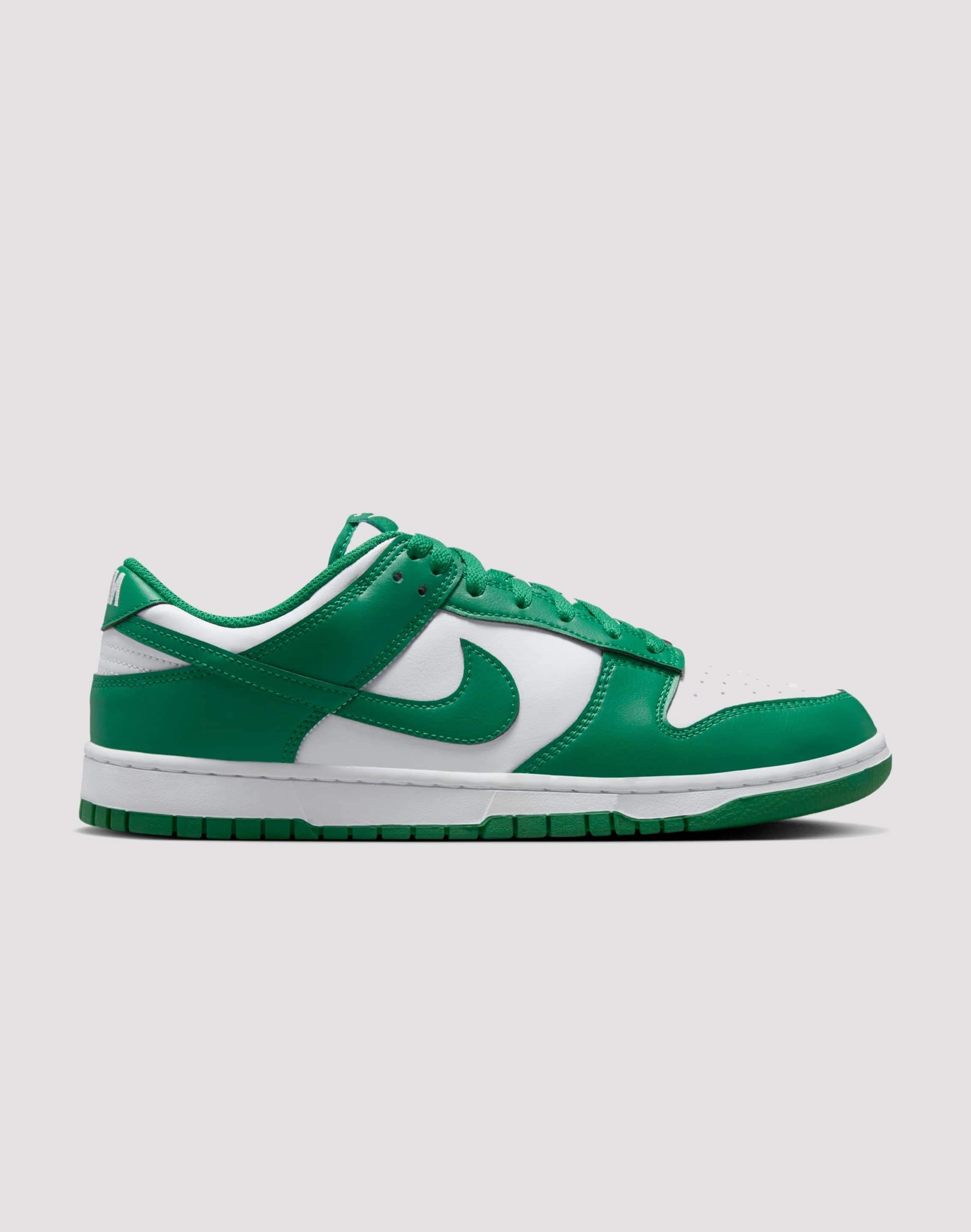 City Run Nike Dunk Low