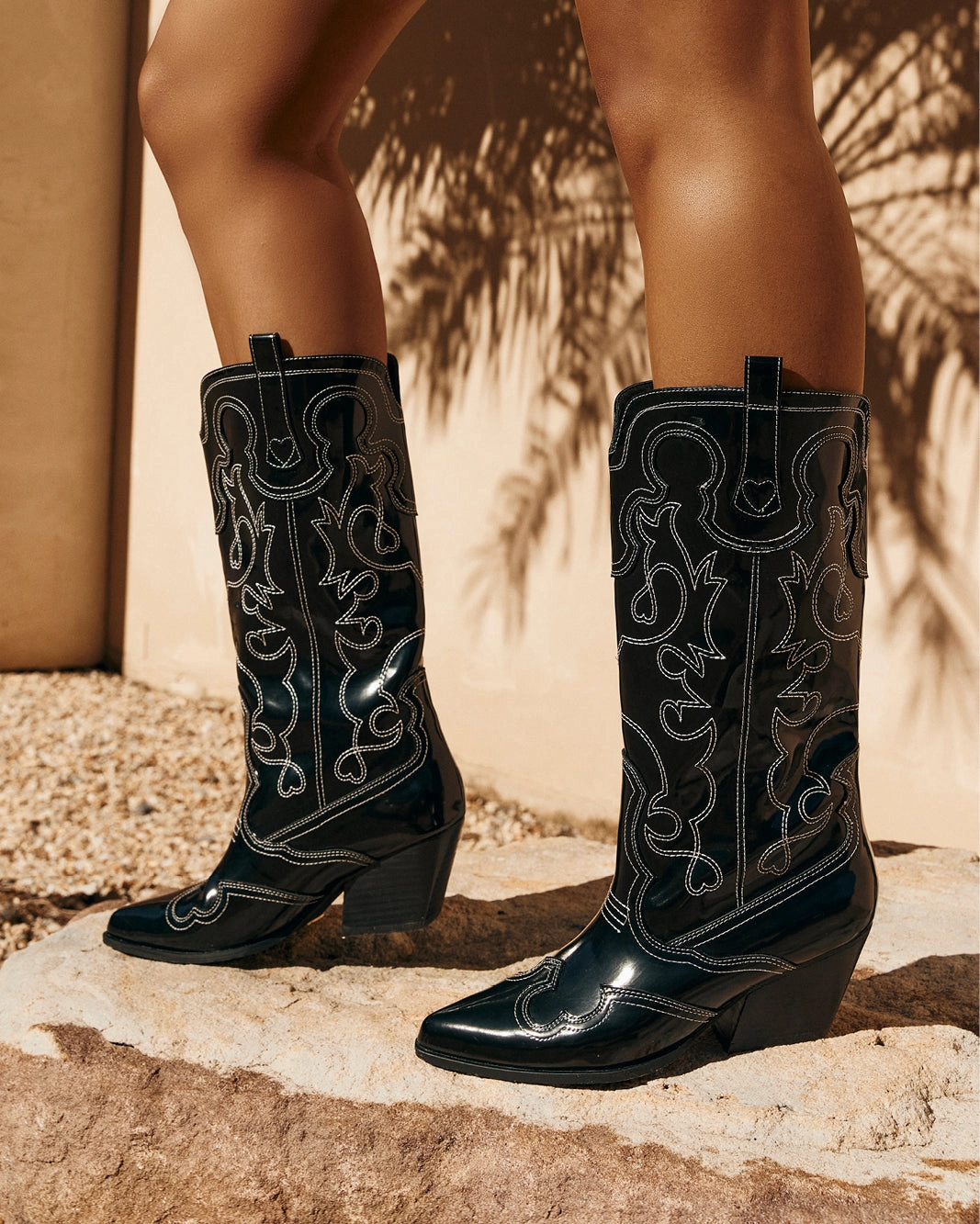 ZAINE - BLACK SHINE Protective Finish Rough Terrain